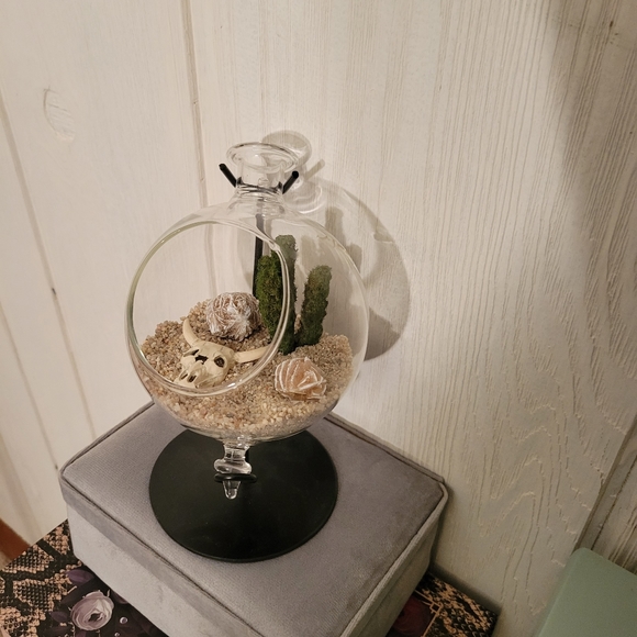 Mini Desert Rose terrarium - Picture 4 of 4